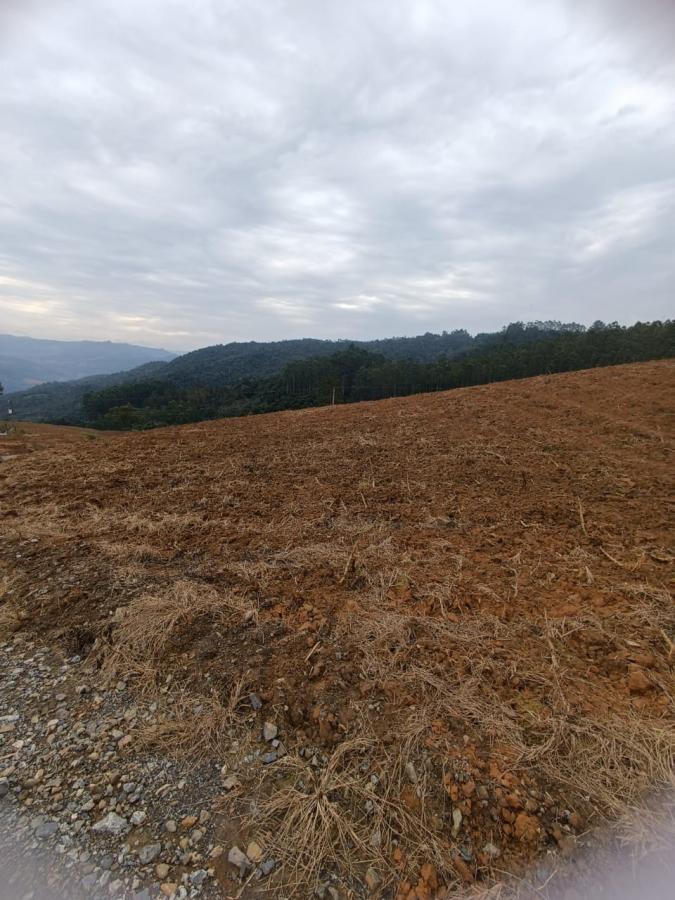 Fazenda à venda com 3 quartos, 260000m² - Foto 37