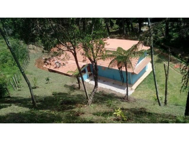 Terreno, 4 hectares - Foto 1