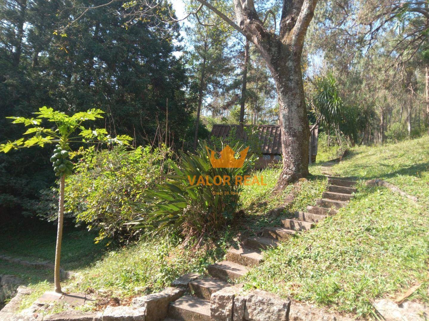 Sítio, 15 quartos, 10 hectares - Foto 13