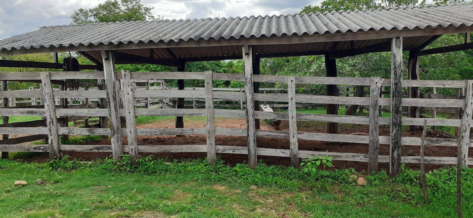 Fazenda à venda com 3 quartos, 10m² - Foto 4