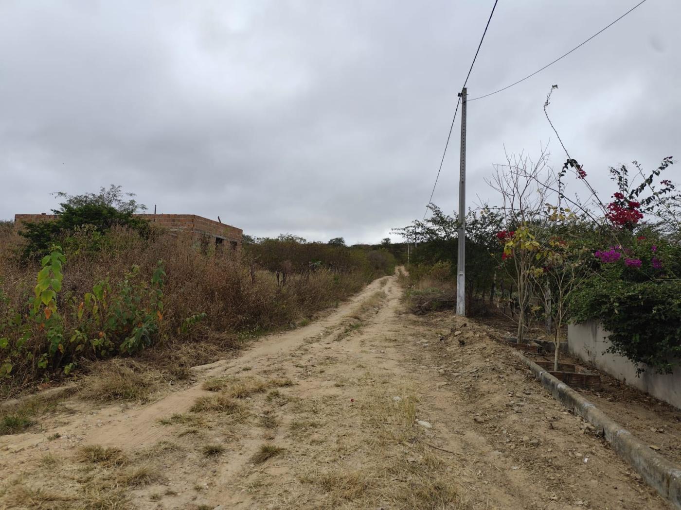 Terreno à venda, 2500m² - Foto 4