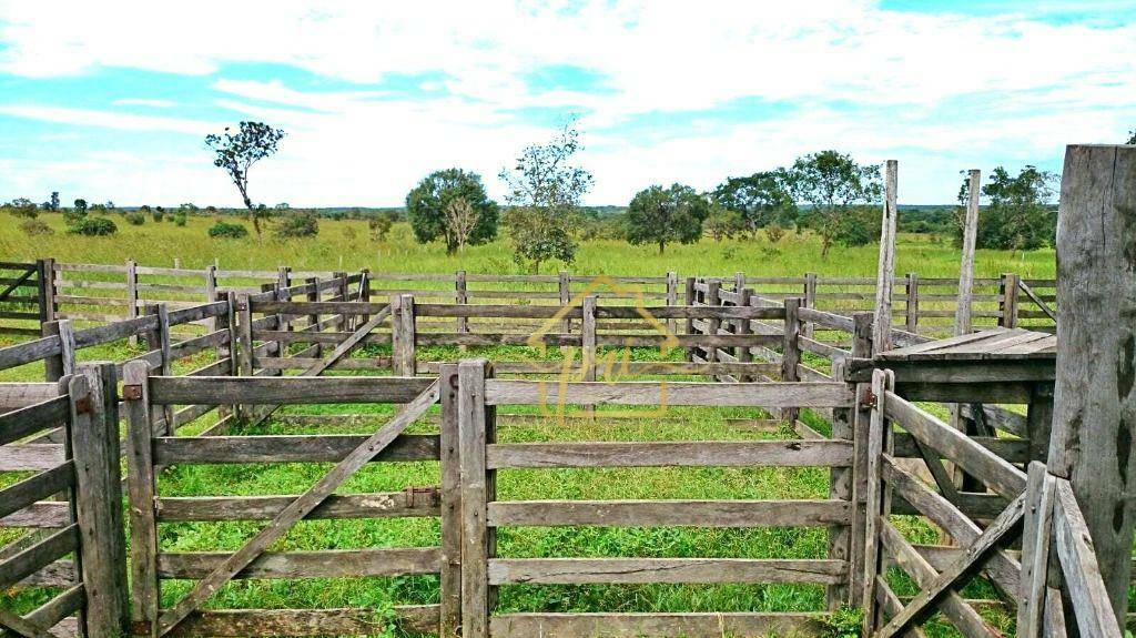 Fazenda à venda com 3 quartos, 250m² - Foto 20