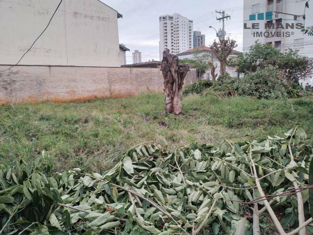 Terreno à venda, 300M2 - Foto 4