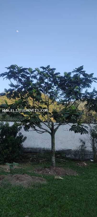 Sítio à venda com 3 quartos, 160m² - Foto 22