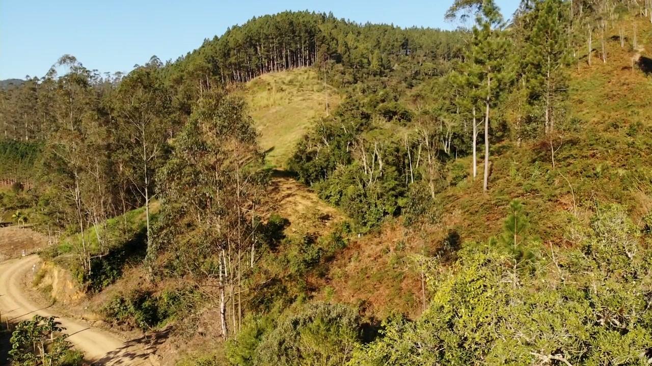 Fazenda à venda com 3 quartos, 140000m² - Foto 20