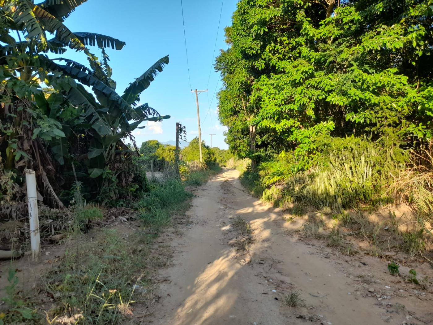 Fazenda à venda com 3 quartos, 1000m² - Foto 27