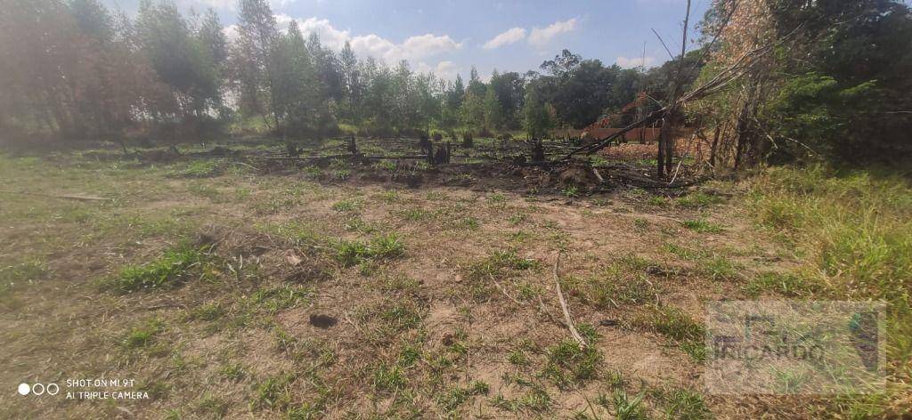 Loteamento e Condomínio, 1000 m² - Foto 3