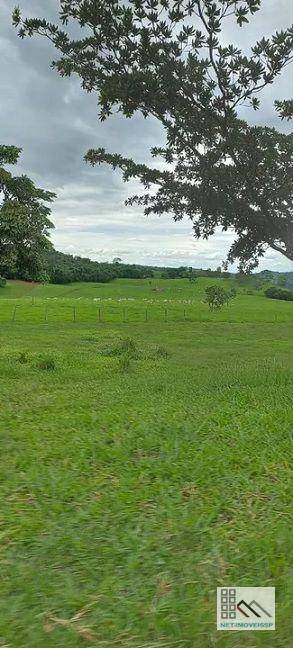 Fazenda-Sítio-Chácara, 305 hectares - Foto 5