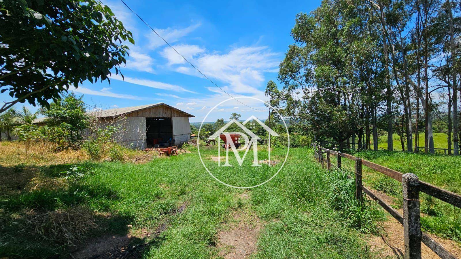 Haras e Área Rural Padrão à venda com 7 quartos, 242000m² - Foto 13