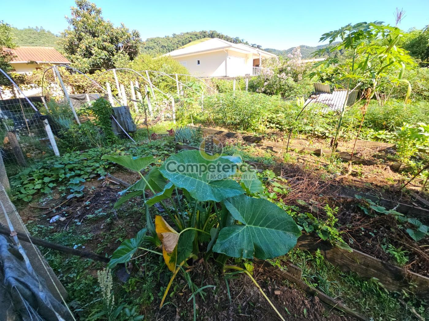 Sítio à venda com 3 quartos, 152m² - Foto 20