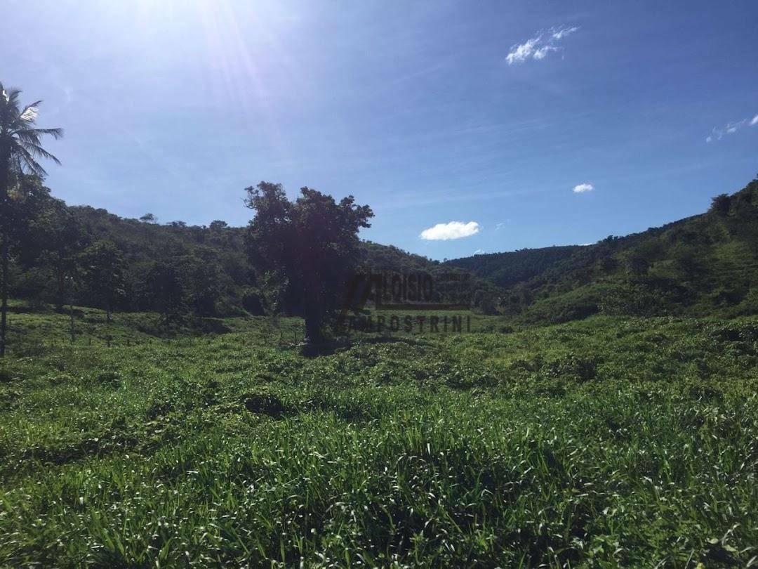 Fazenda à venda, 5469200M2 - Foto 54