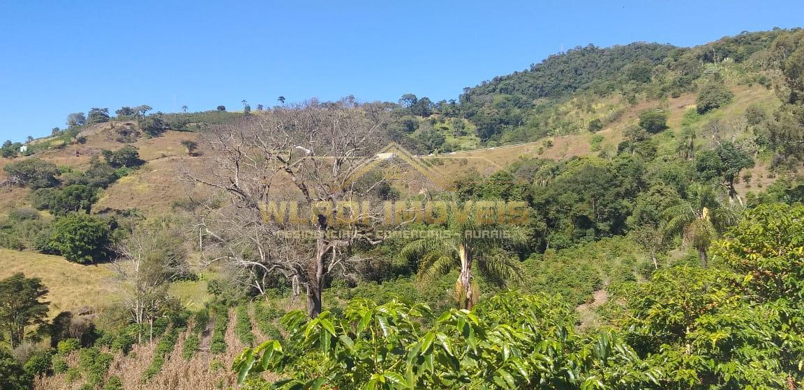 Fazenda à venda, 23m² - Foto 6