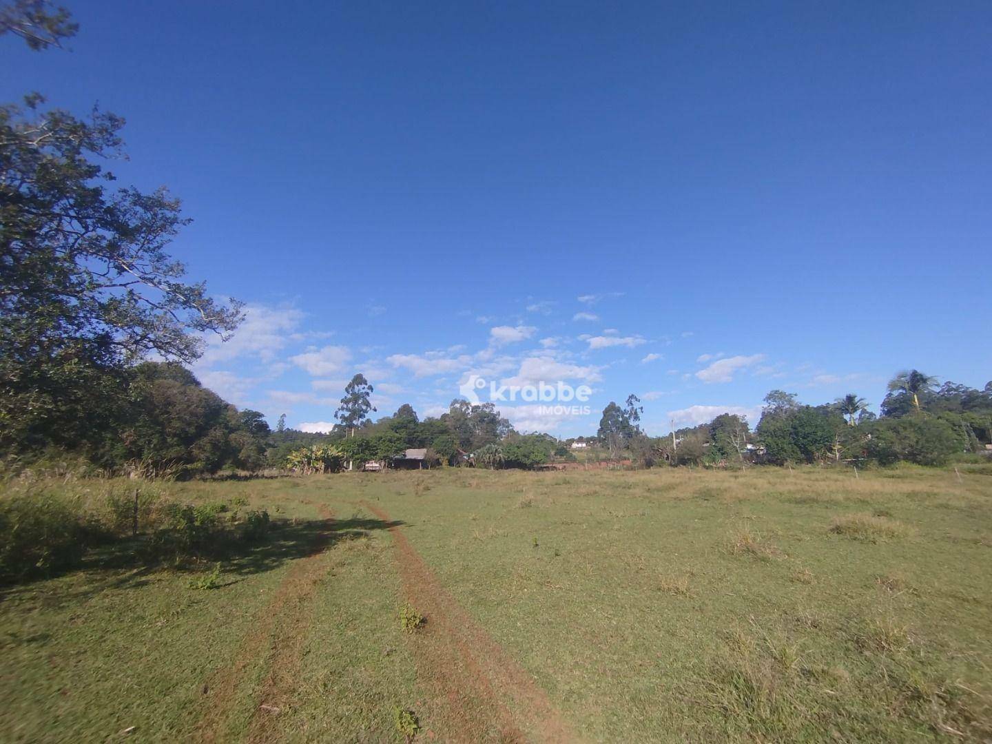 Chácara à venda com 2 quartos, 16000M2 - Foto 8
