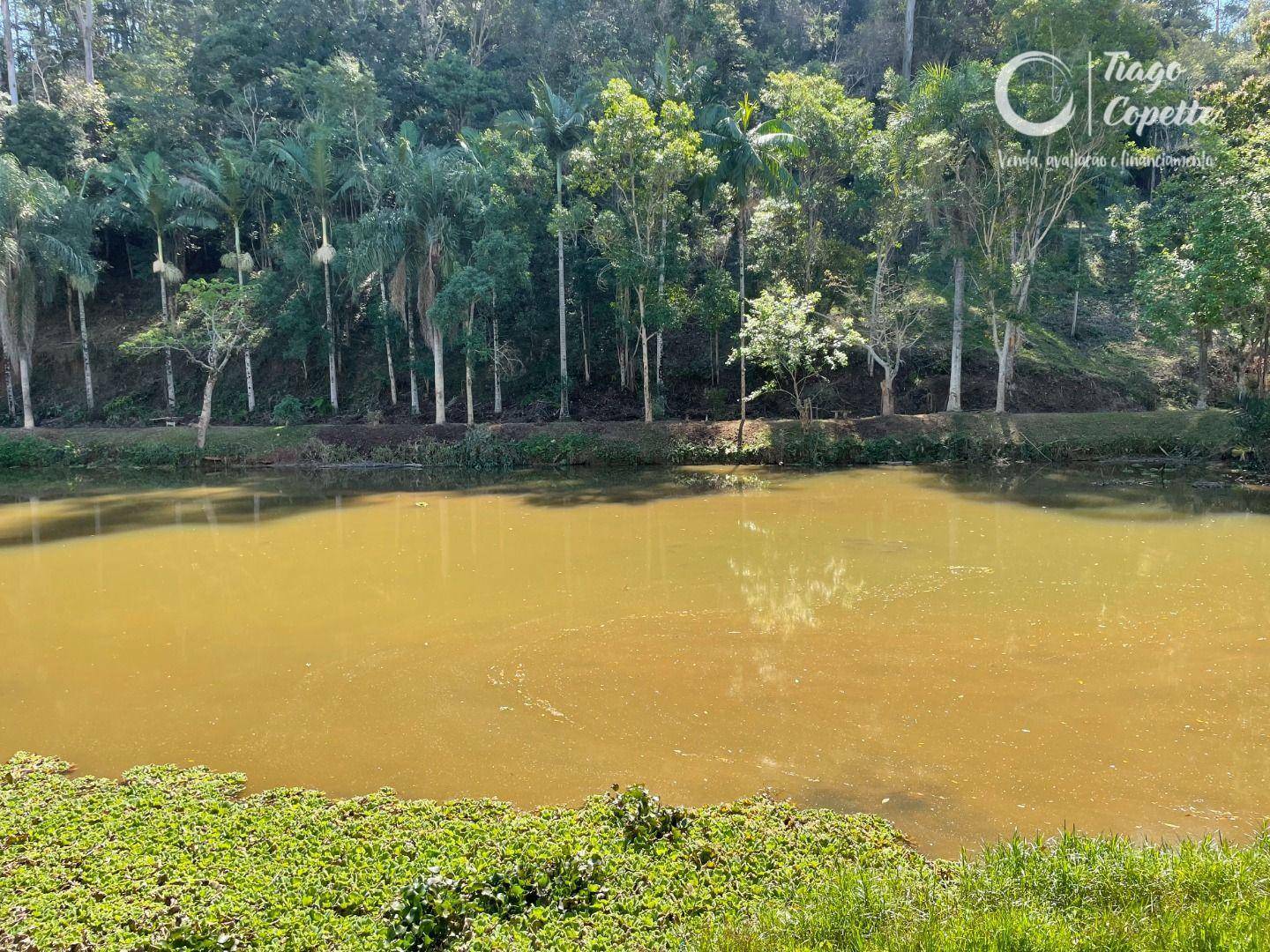 Chácara à venda com 2 quartos, 20000M2 - Foto 18