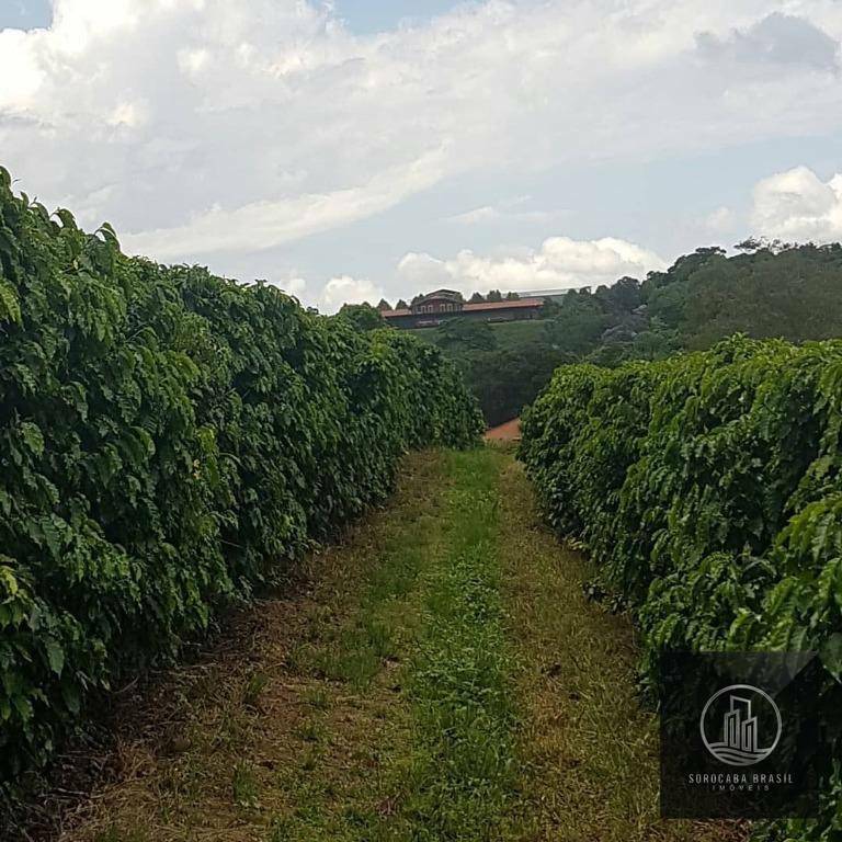 Fazenda à venda com 20 quartos, 7986000M2 - Foto 10