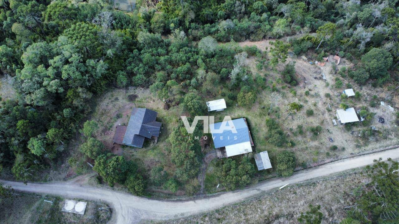 Terreno, 3 hectares - Foto 3