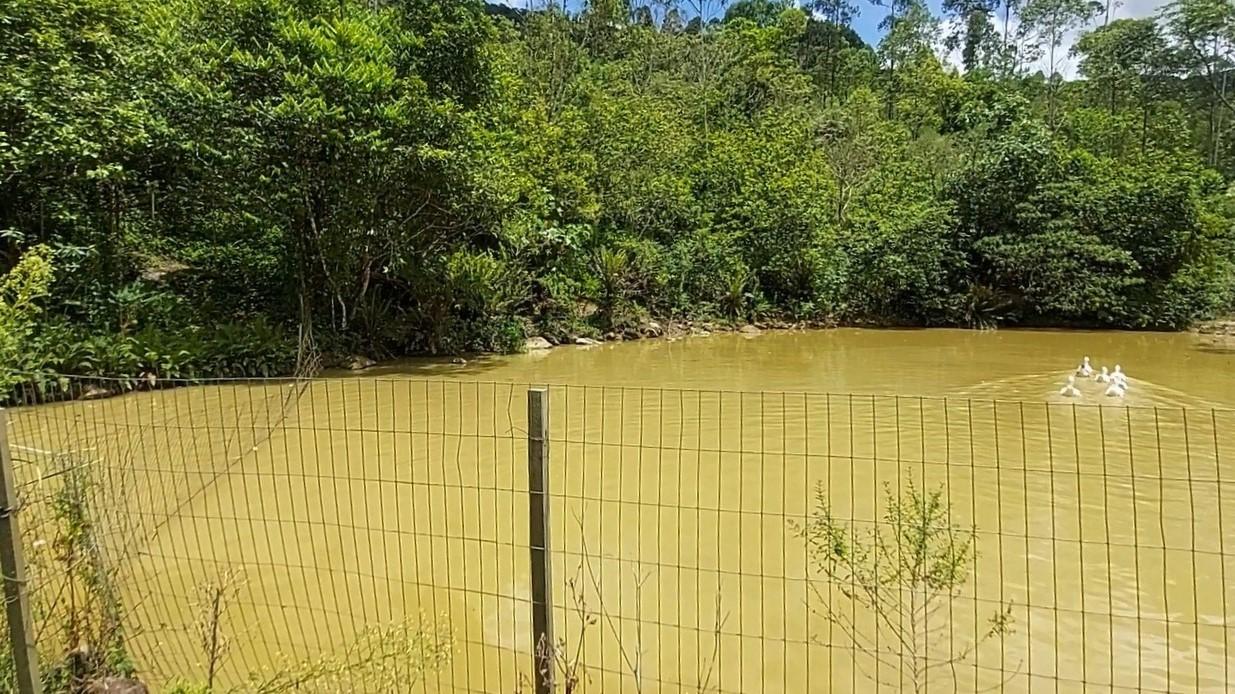 Fazenda à venda com 8 quartos, 120000m² - Foto 47