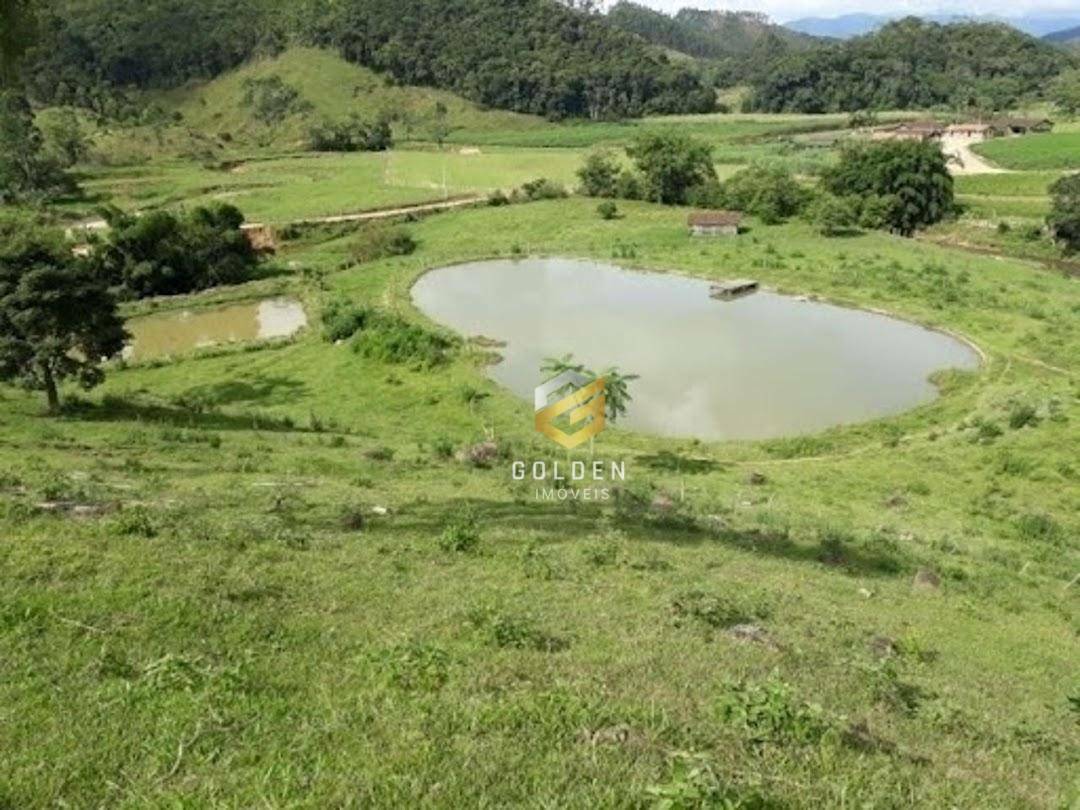 Sítio à venda com 5 quartos, 300m² - Foto 3