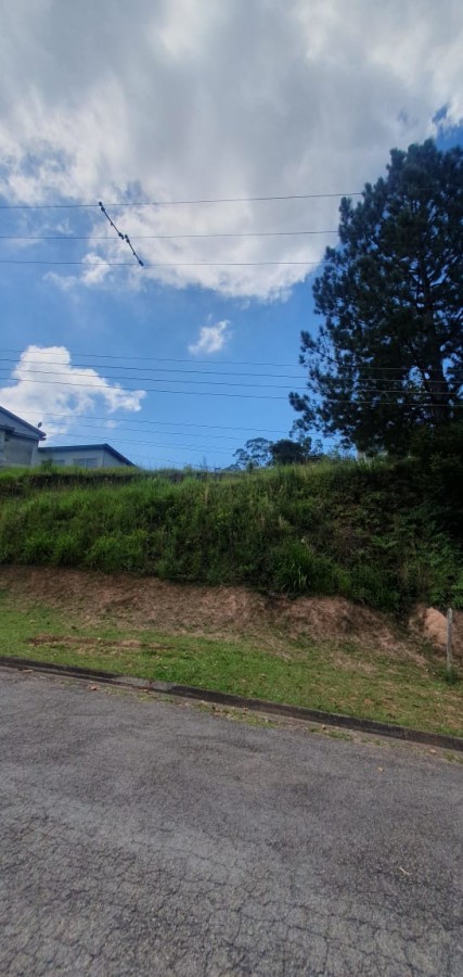 Terreno à venda, 1000m² - Foto 5