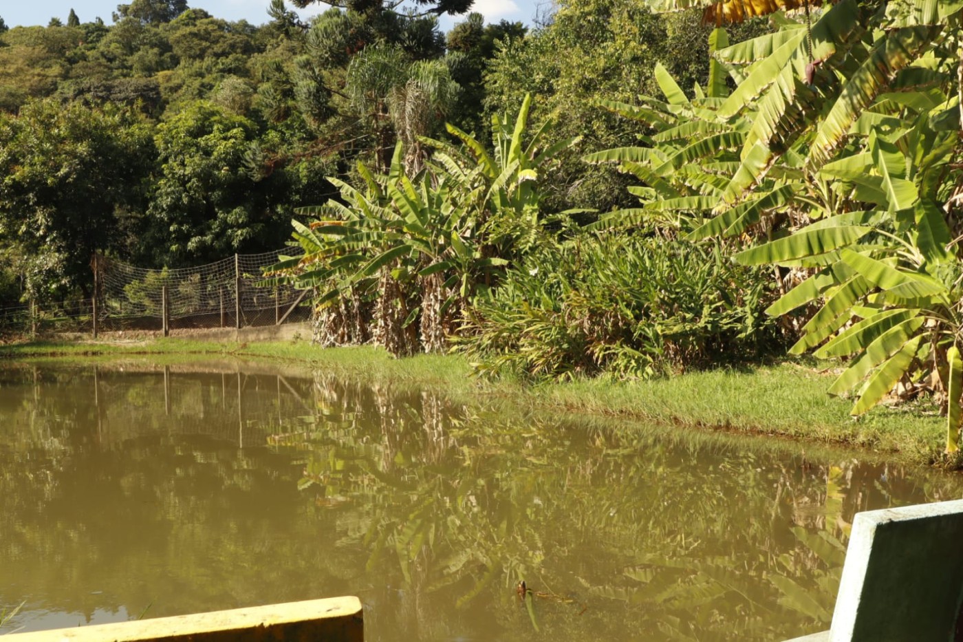 Chácara à venda com 4 quartos, 3500m² - Foto 28
