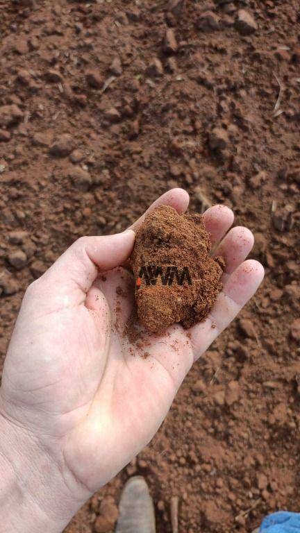 Fazenda-Sítio-Chácara, 3291 hectares - Foto 10