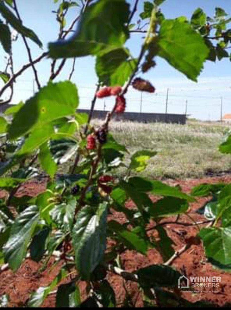 Terreno à venda, 600M2 - Foto 5