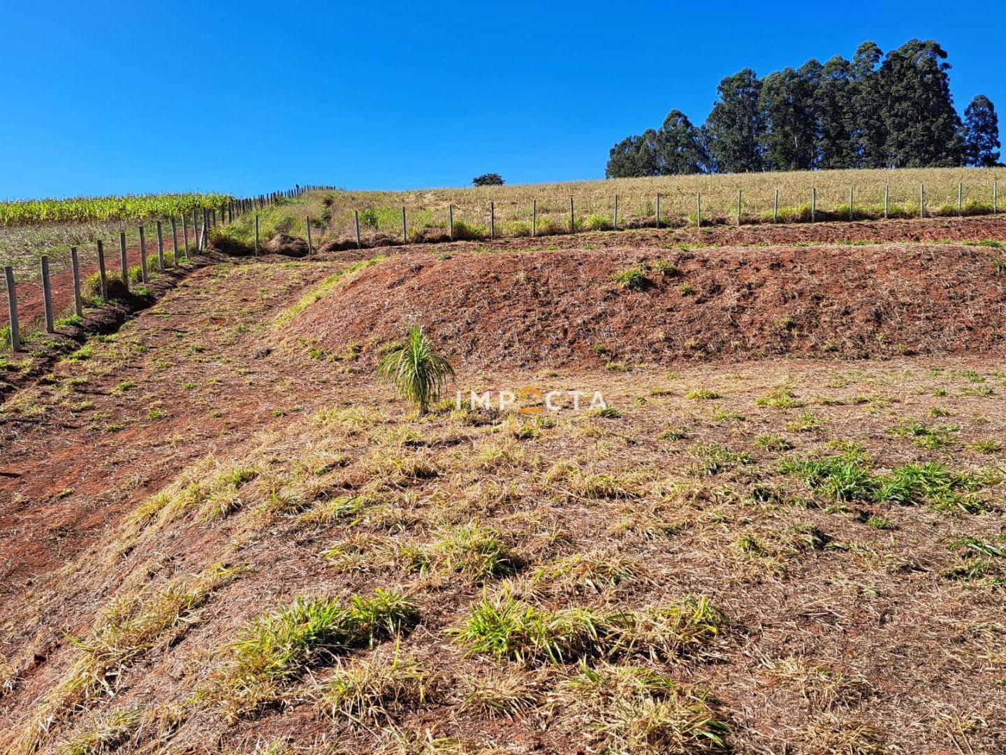 Terreno à venda, 2000M2 - Foto 9