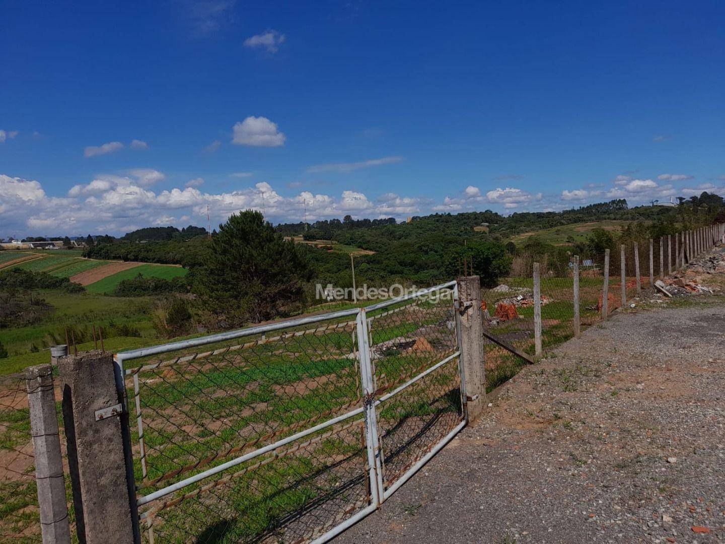 Terreno, 3 hectares - Foto 9