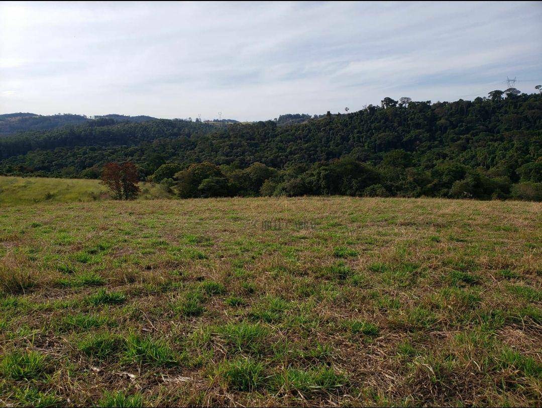 Terreno à venda, 55000M2 - Foto 7