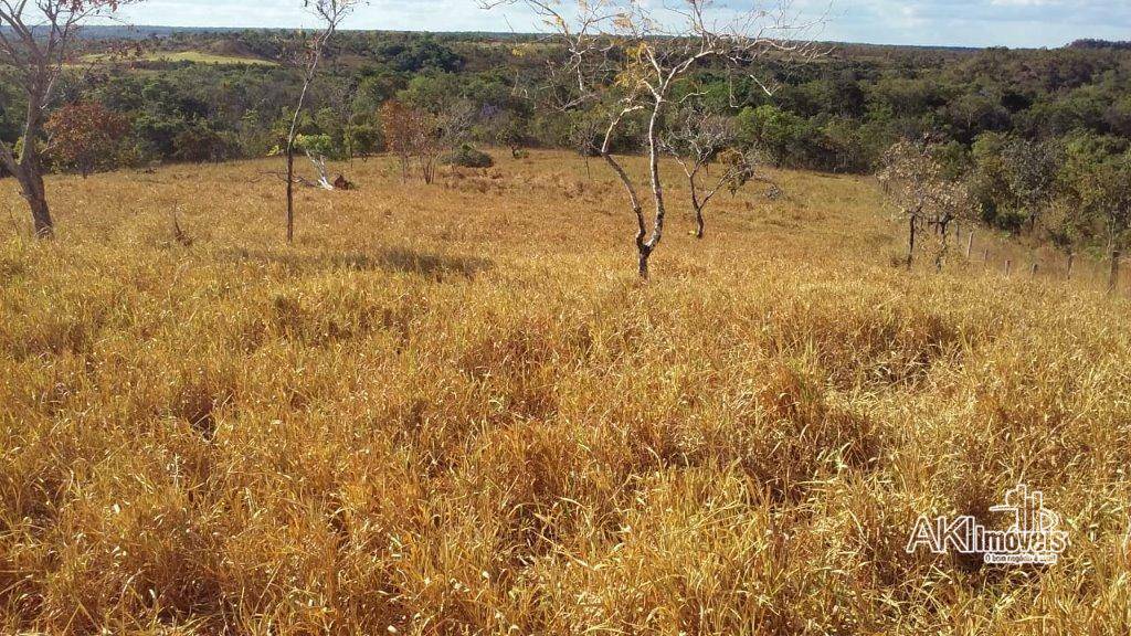 Fazenda à venda com 2 quartos, 4500000M2 - Foto 21