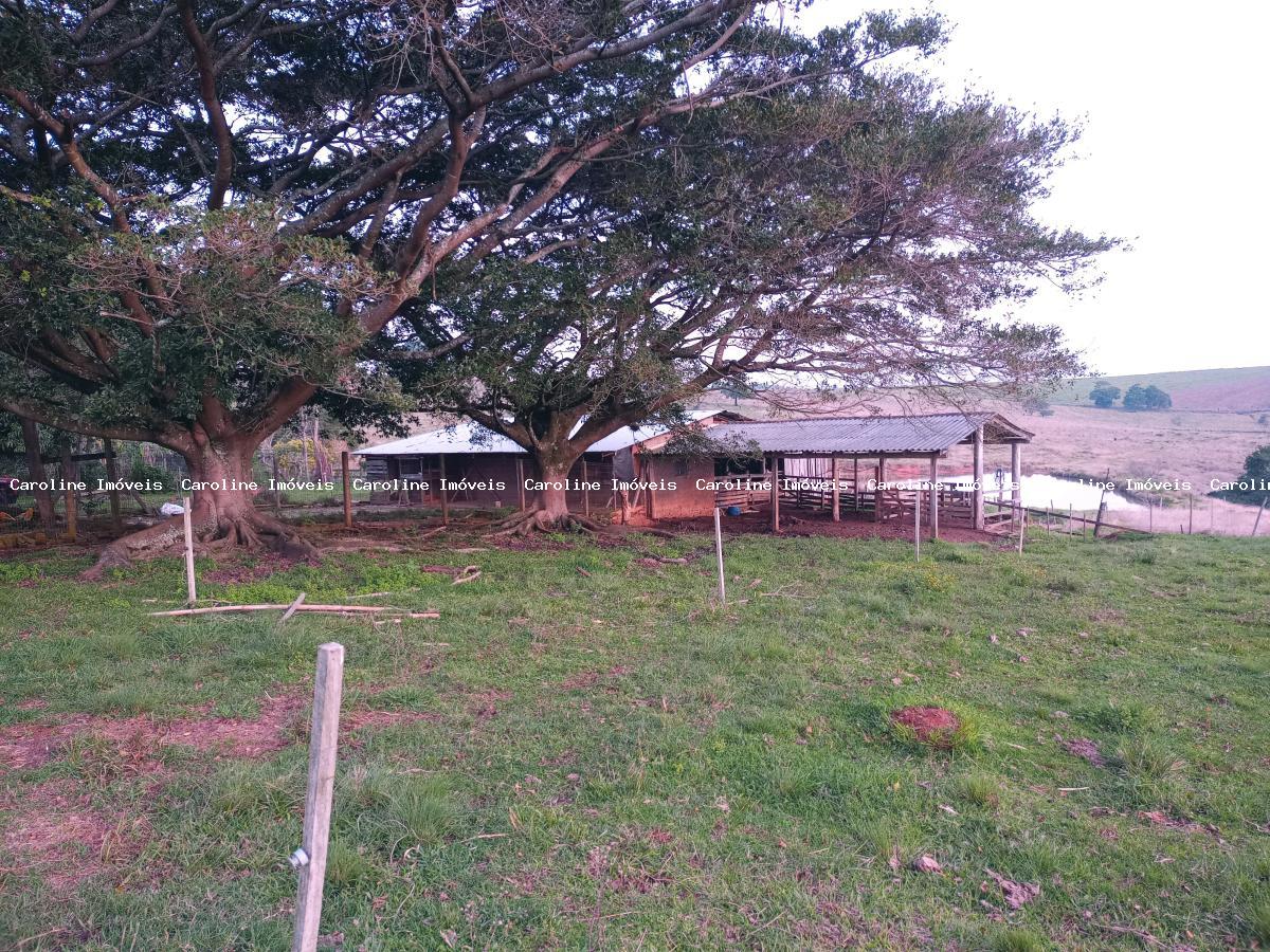 Fazenda à venda com 3 quartos, 23m² - Foto 24