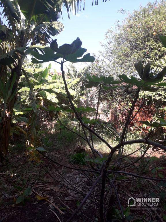 Terreno, 1000 m² - Foto 4