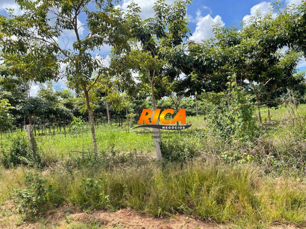 Fazenda à venda, 1110000M2 - Foto 17