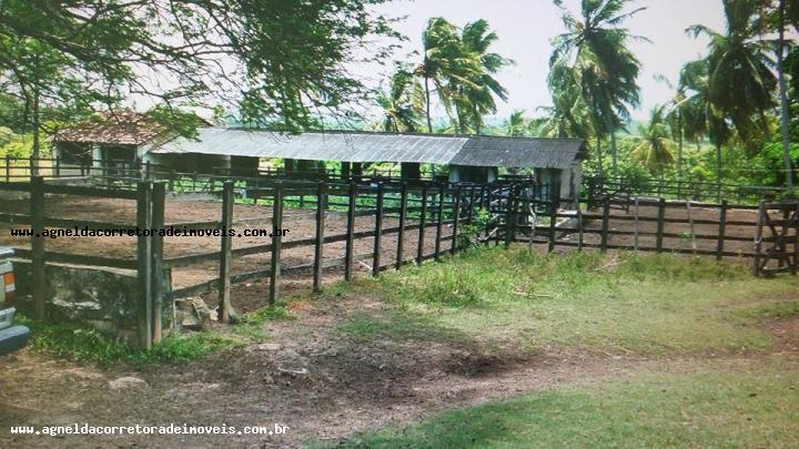 Fazenda à venda com 3 quartos, 170m² - Foto 27