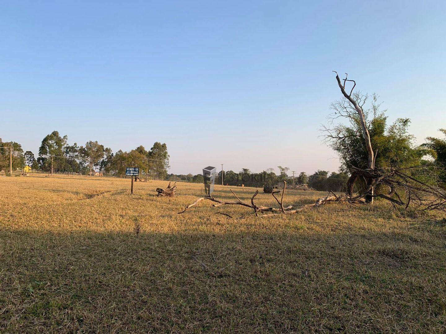 Terreno à venda, 41140M2 - Foto 4