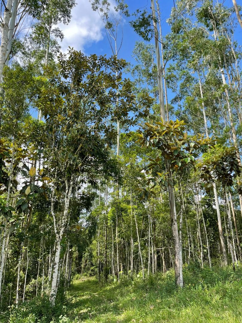 Terreno à venda, 55000M2 - Foto 5