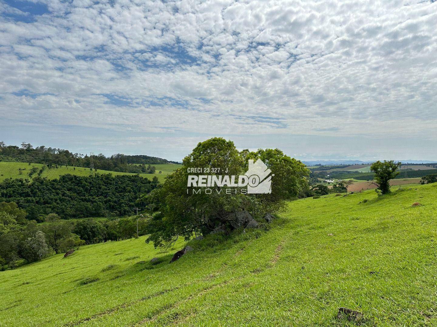 Fazenda à venda com 8 quartos, 950m² - Foto 10