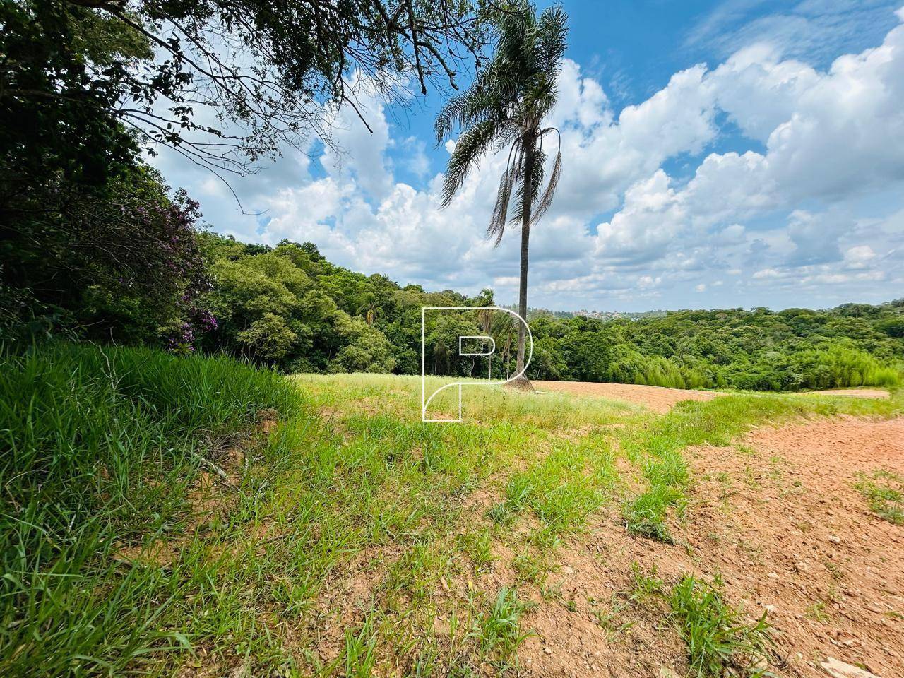 Terreno, 5 hectares - Foto 3