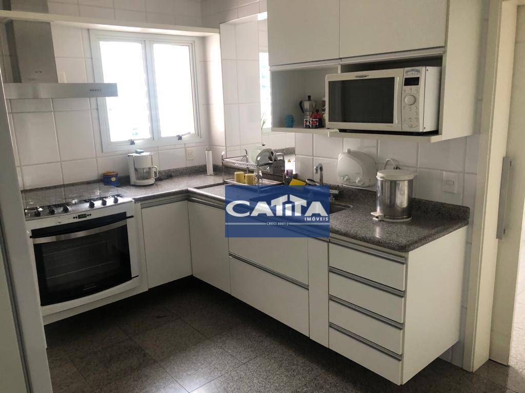 Apartamento à venda com 3 quartos, 224m² - Foto 11