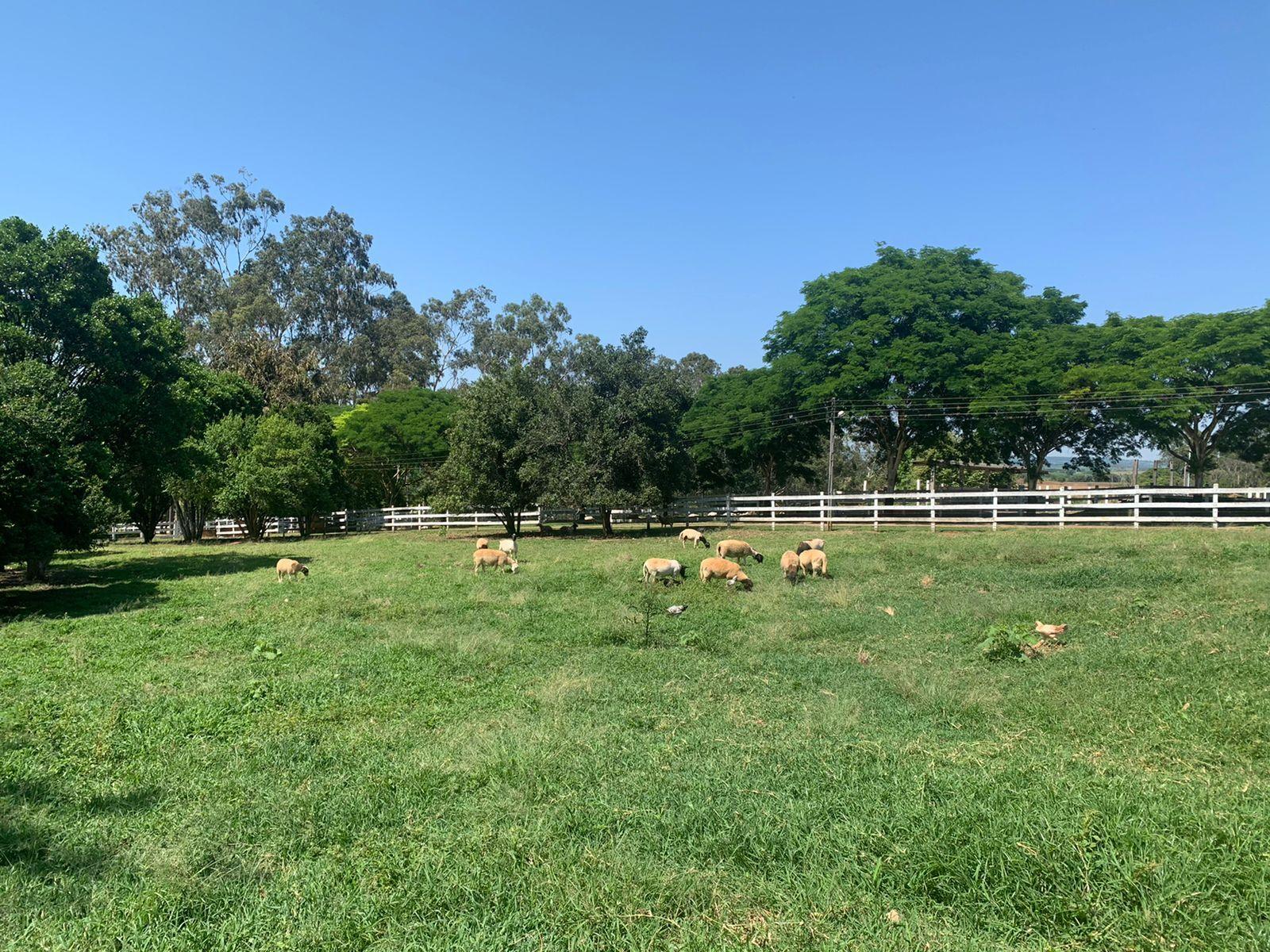 Loteamento e Condomínio à venda com 5 quartos, 170000m² - Foto 33