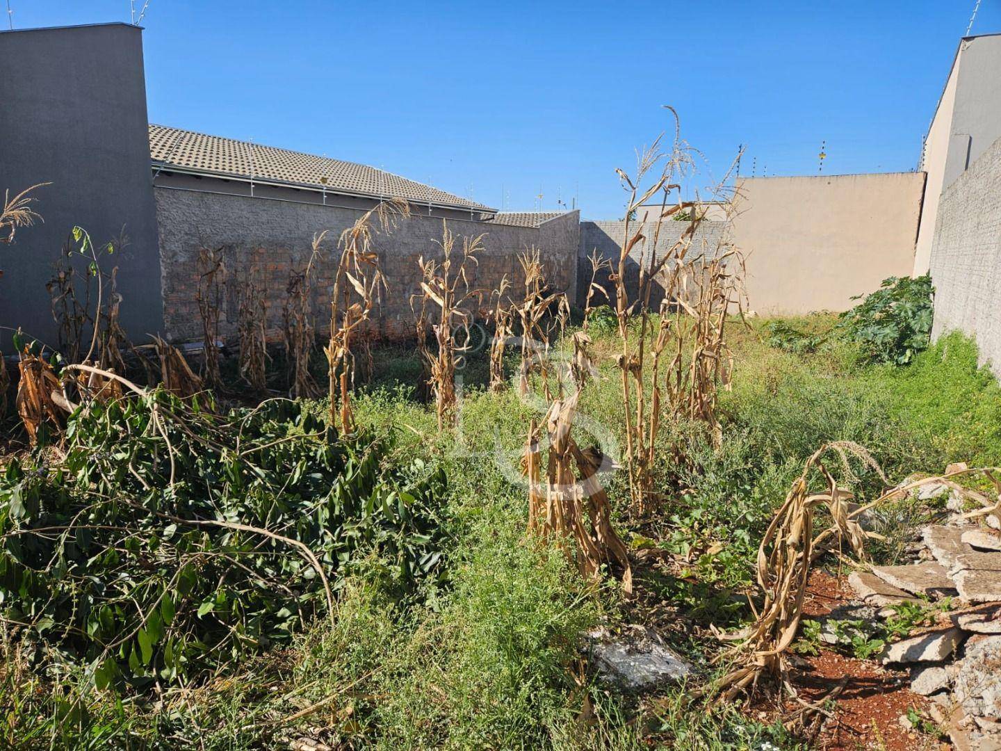 Terreno, 250 m² - Foto 15