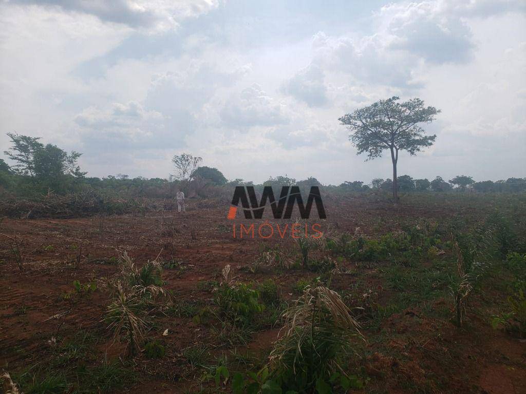 Fazenda, 4306 hectares - Foto 9