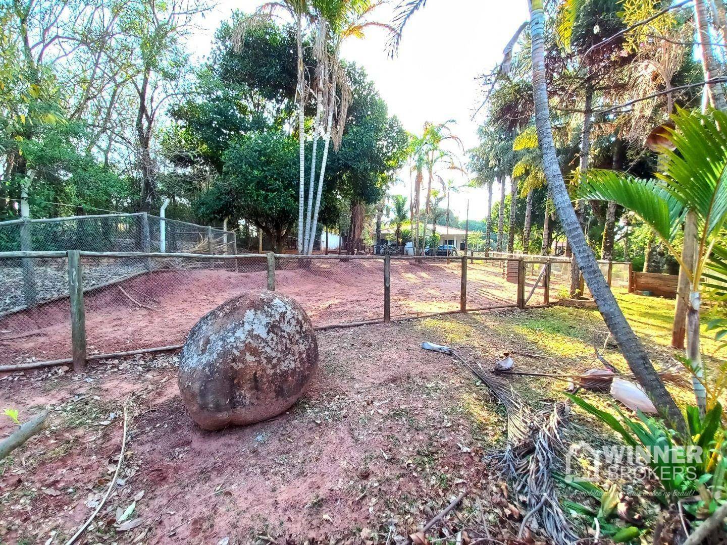 Chácara, 3 quartos, 5000 m² - Foto 3