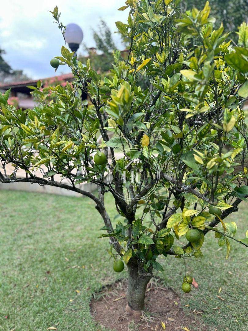 Chácara à venda e aluguel com 4 quartos, 448m² - Foto 38