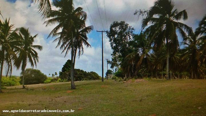 Fazenda à venda com 3 quartos, 170m² - Foto 6