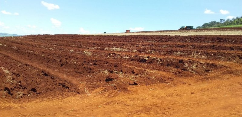 Fazenda-Sítio-Chácara, 773 hectares - Foto 3
