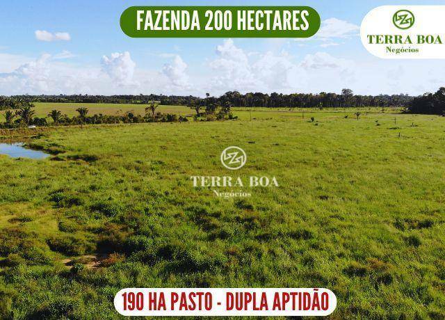 Fazenda-Sítio-Chácara, 200 hectares - Foto 1