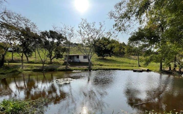 Fazenda à venda com 4 quartos, 15000m² - Foto 8