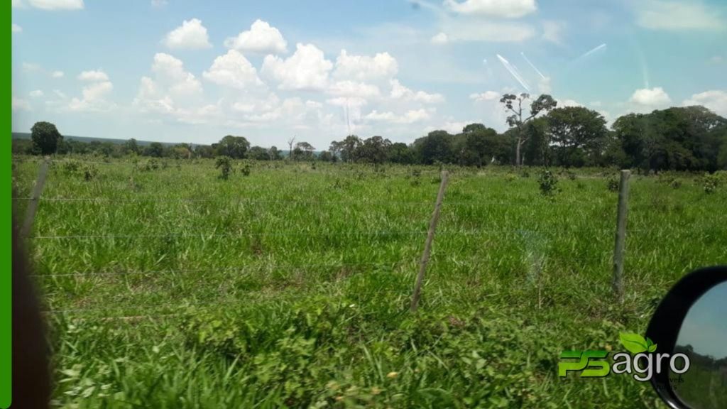 Fazenda-Sítio-Chácara, 1803 hectares - Foto 4