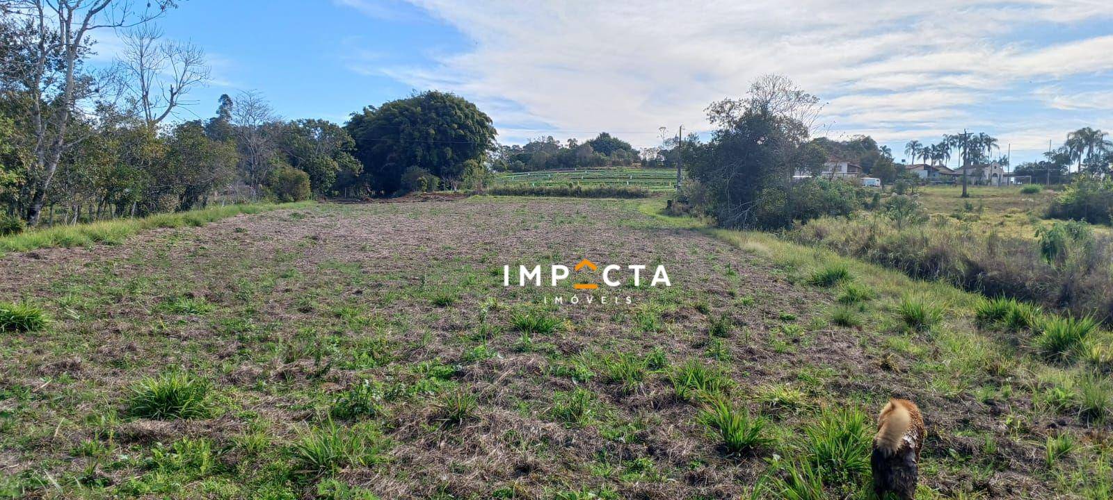 Terreno, 8107 m² - Foto 4